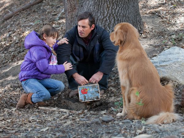 A Golden Christmas (2009) - John Murlowski | Cast and Crew | AllMovie